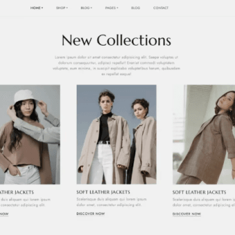 Clothing collections website